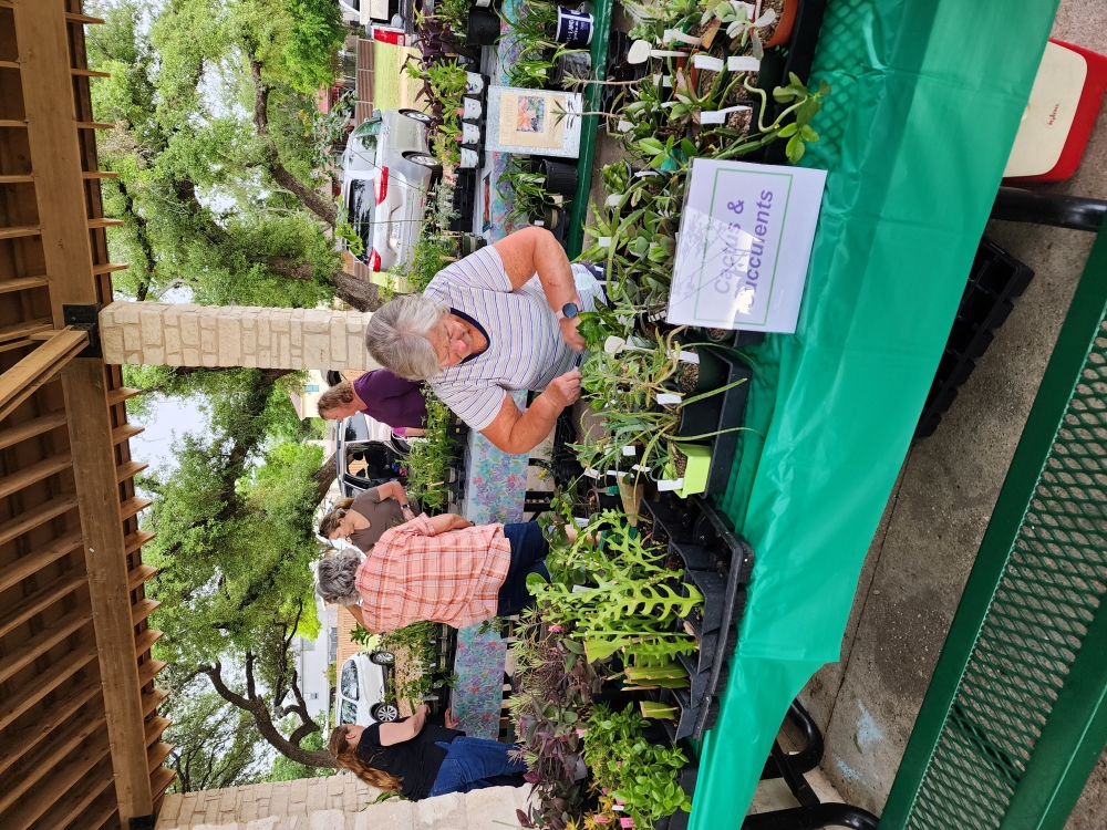 Hill Country Bloomers will host its annual spring plant sale on April 12, 10 a.m.-3 p.m. (Courtesy Hill Country Bloomers)