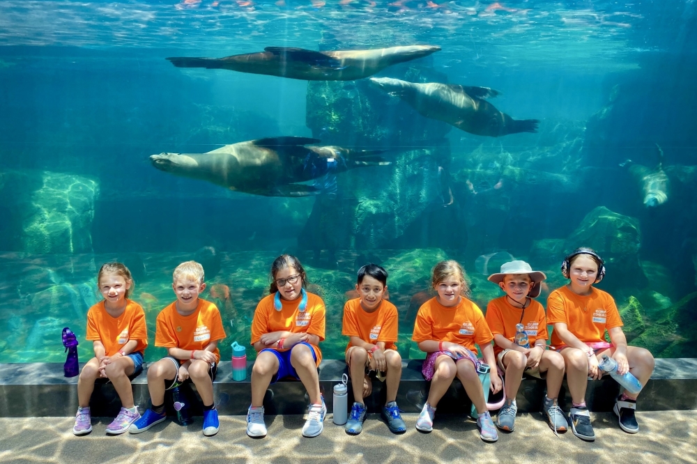 Camp Zoofari participants get to explore the zoo, meet the animals and learn about wildlife. (Courtesy Houston Zoo via Facebook)