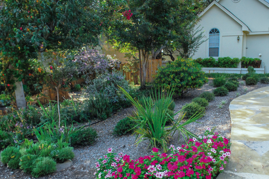 Lawncare in Texas heat flowers