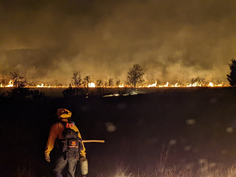 Williamson County emergency service provider fights fire