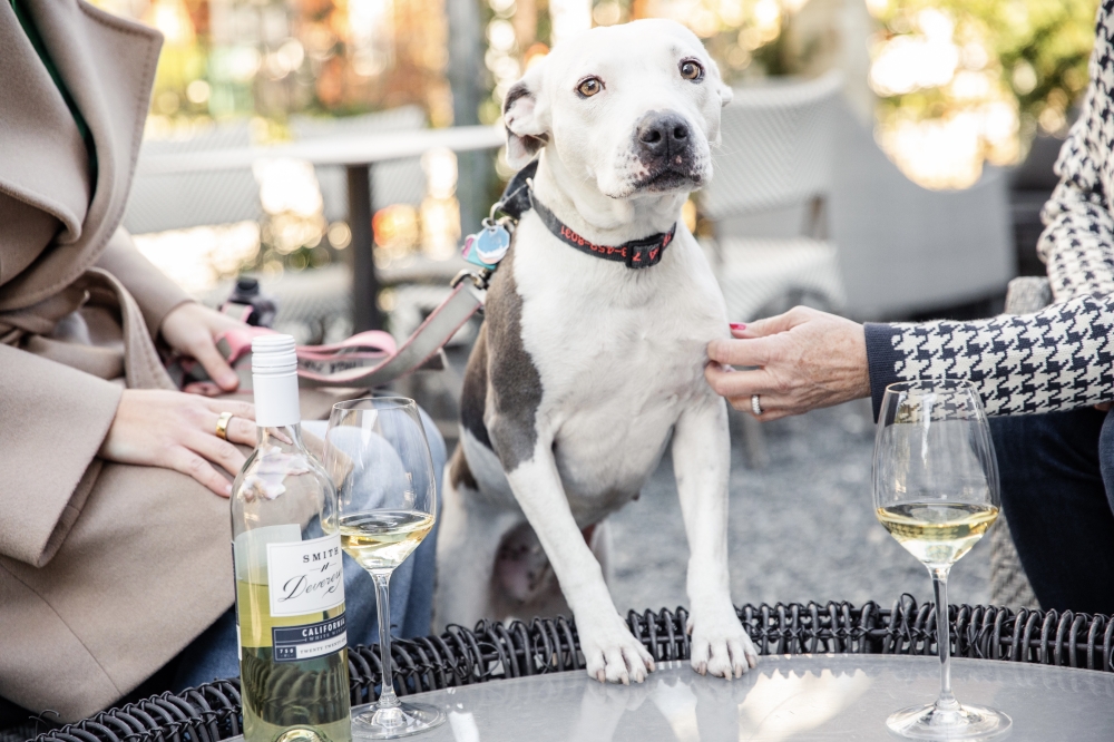 Mutiny in The Heights will now be family, kid and dog friendly. (Courtesy Becca Wright)