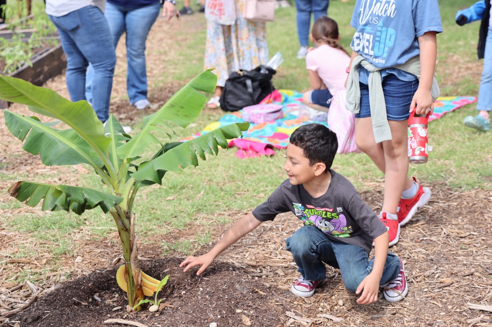 Judson ISD STEM, STEM academies in San Antonio, hands-on learning