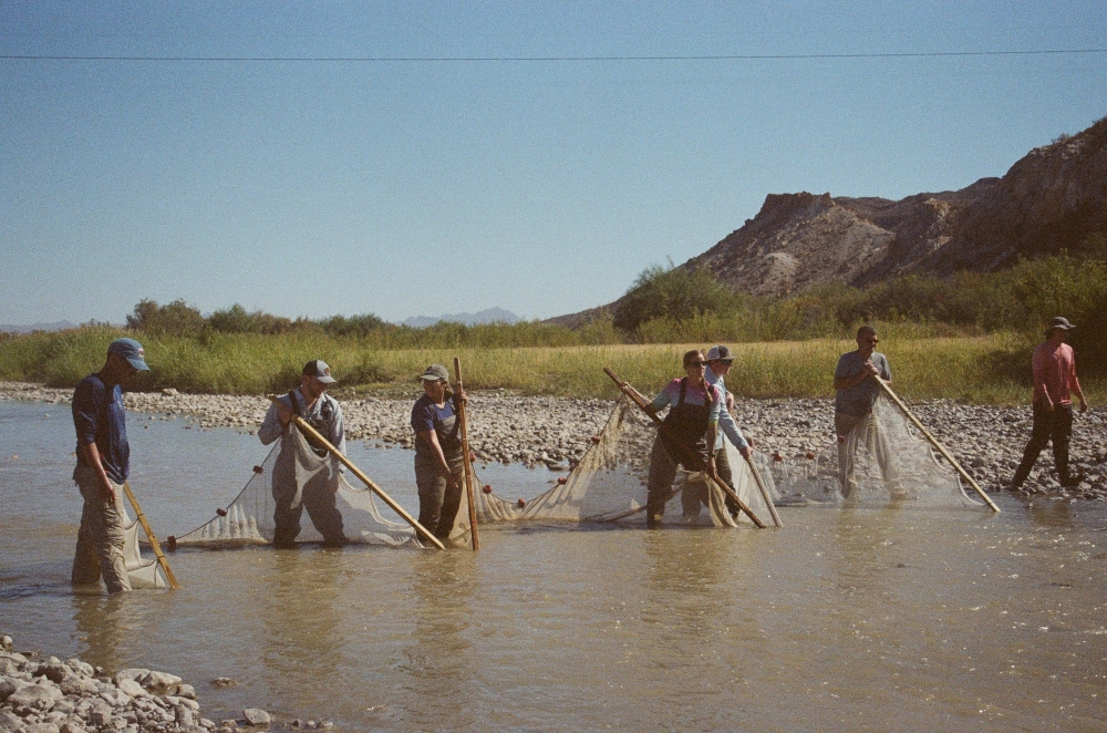 researchers with net study endangered species in Texas rivers