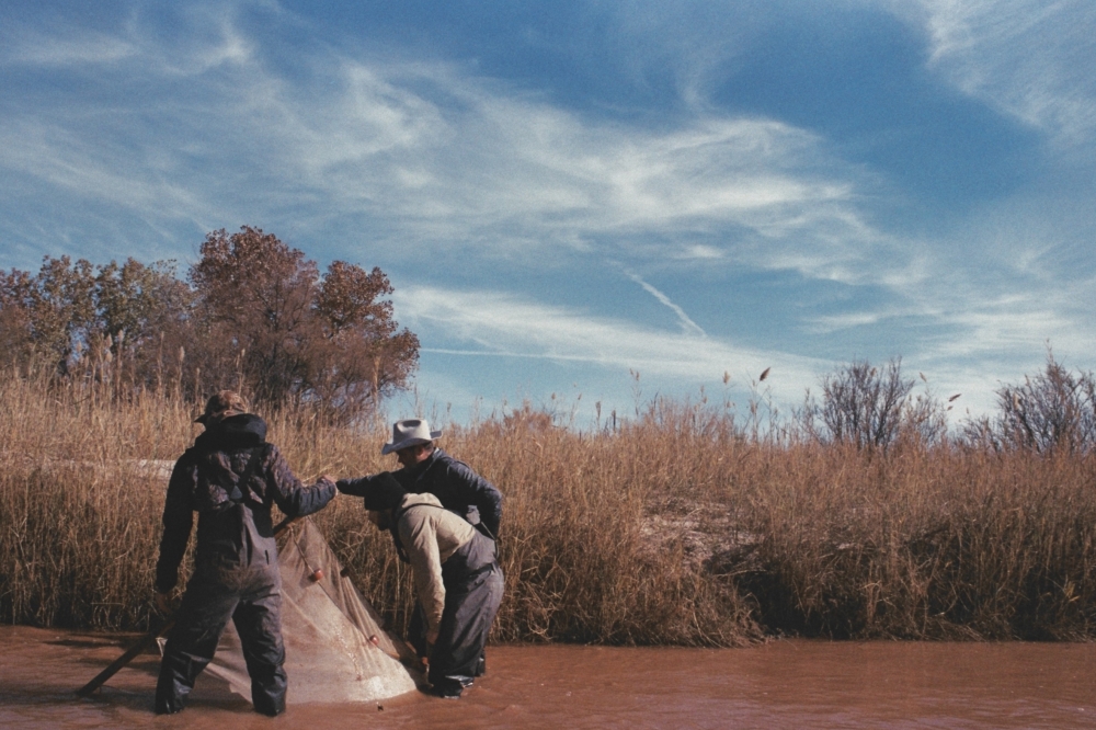 Texas State University biology researchers study the Texas fountain darter