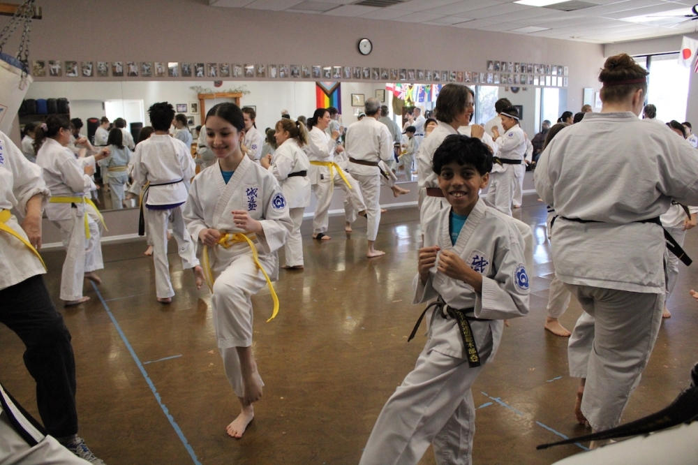 Seido karate teaches mindfulness and discipline along with the physical aspect of martial arts training. (Courtesy Sun Dragon Martial Arts and Self-Defense)