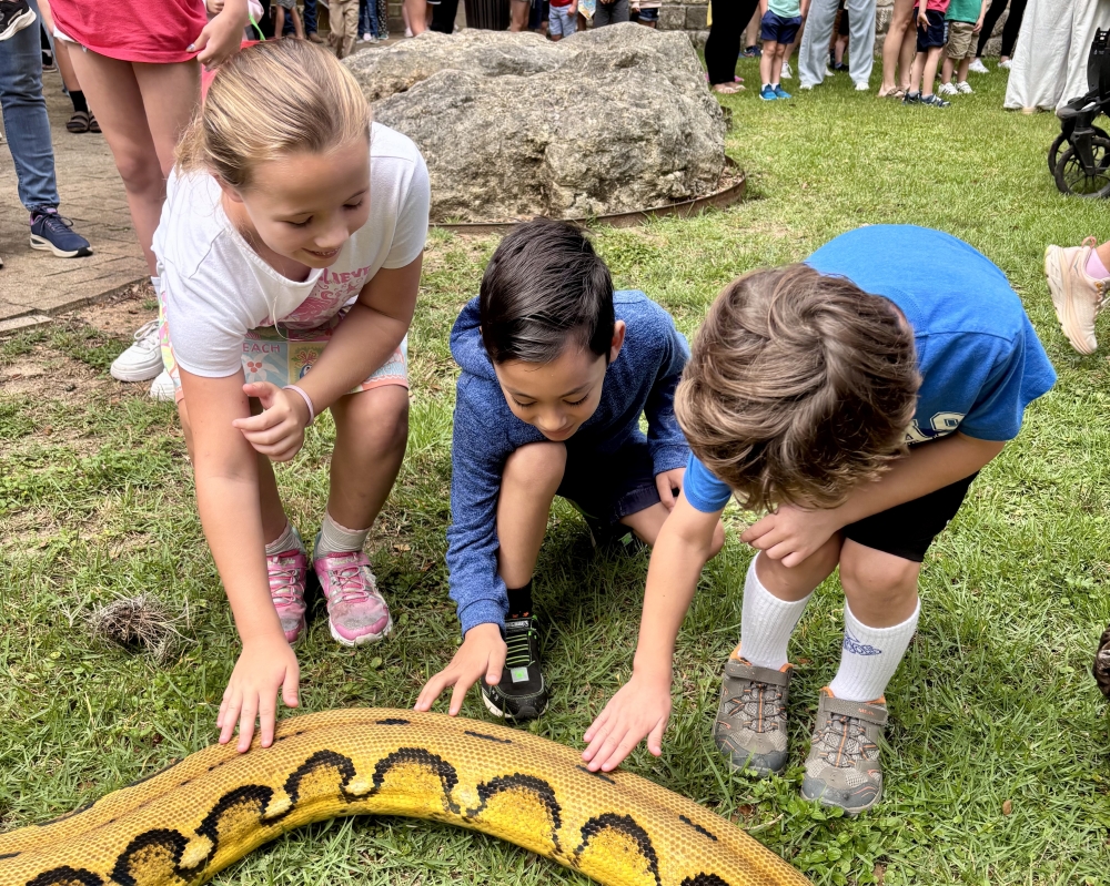 Kids doing free summer activities in Boerne at library petting zoo