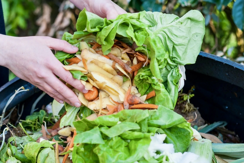 Zero Waste Houston collects food waste to minimize trash distributed to landfills and give back to the environment. (Courtesy Zero Waste Houston)