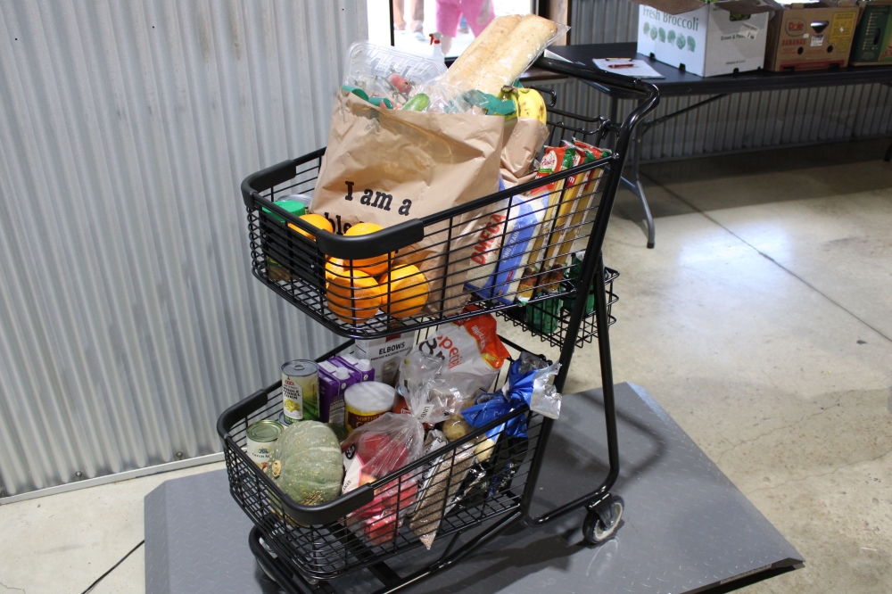 Pictured is a typical haul that one can receive monthly for free (Shannon West/Community Impact).