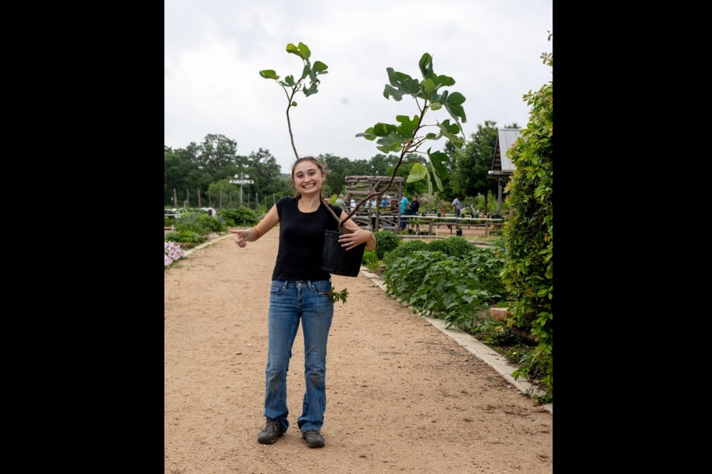 Residents will be able to purchase an array of native Hill Country plants at the Fall Native Plant Sale. (Courtesy The Cibolo Center for Conservation)