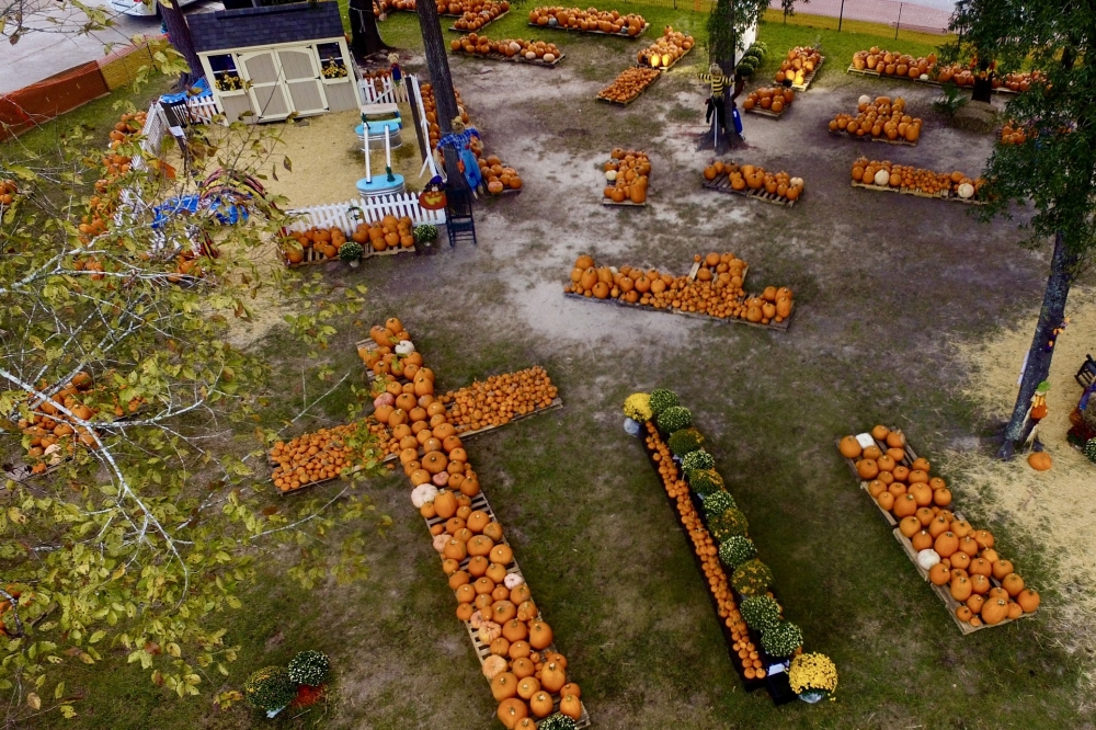Good Shepherd Pumpkin Patch is taking place from Oct. 11-31. (Courtesy Good Shepherd)