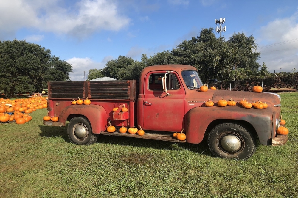FUMC Boerne is hosting their annual pumpkin patch in Boerne starting on Oct. 10. (Courtesy FUMC Boerne)