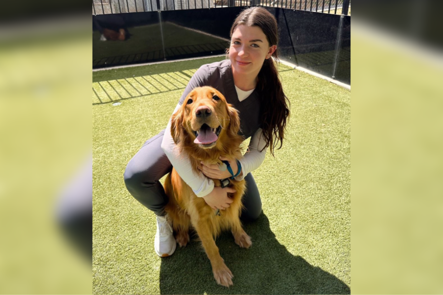Vet with dog