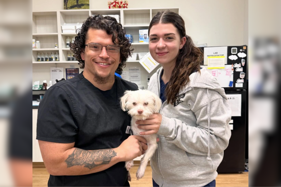 Vets with dog