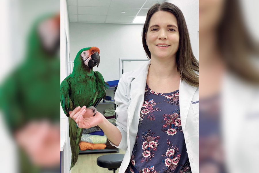 Vet with parrot