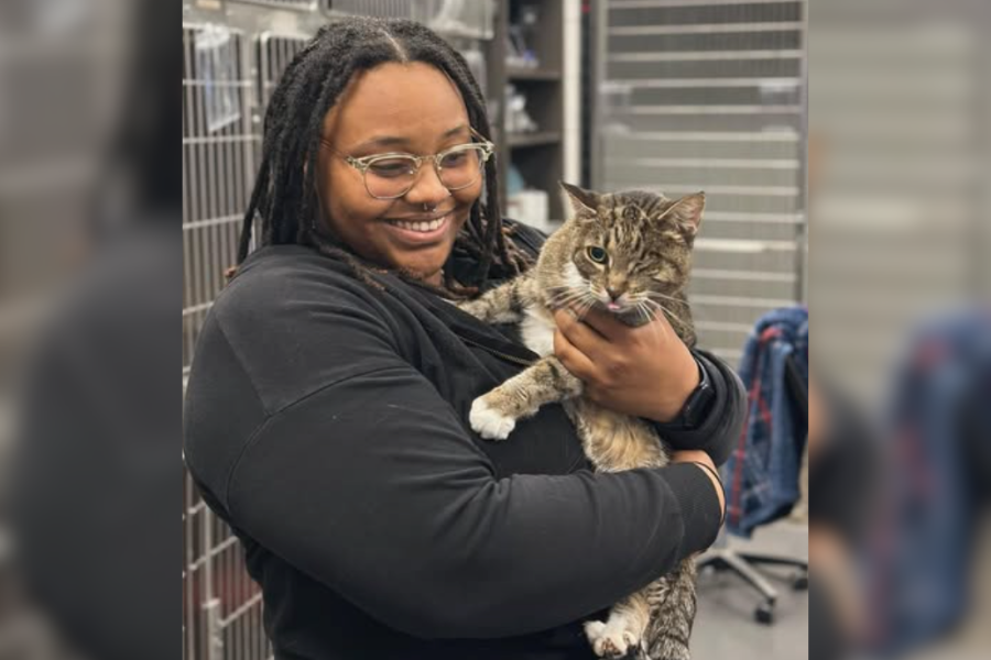 Vet holding cat with one eye