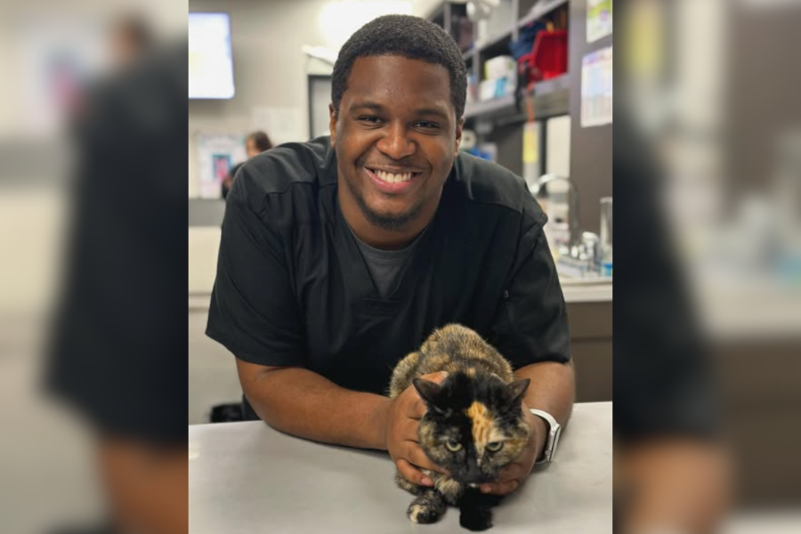Vet holding cat