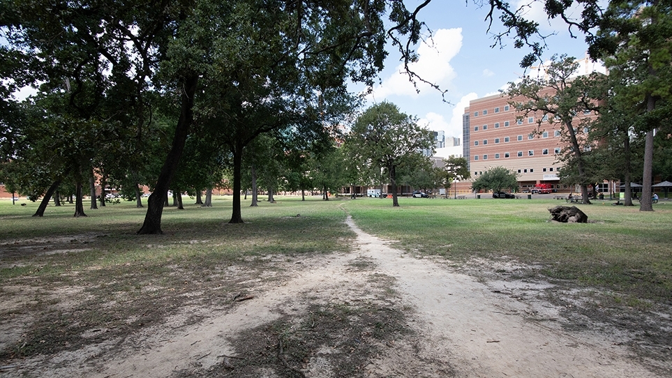 Photo of a trail