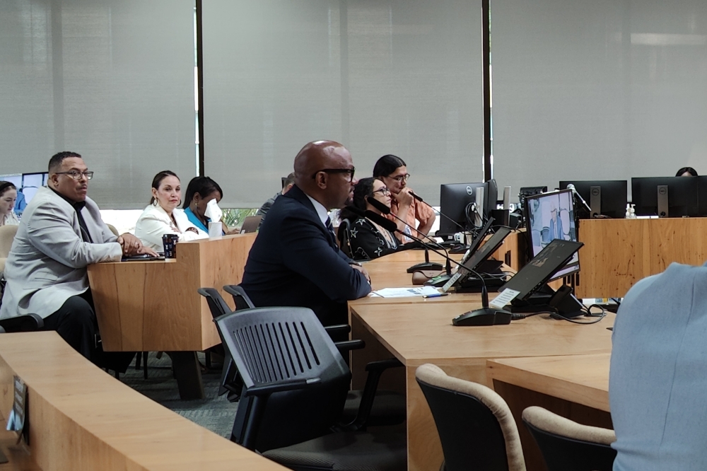 Assistant City Manager Eric Johnson briefed council members on a Dallas housing preservation fund and the potential for Austin to replicate its results locally. (Ben Thompson/Community Impact)