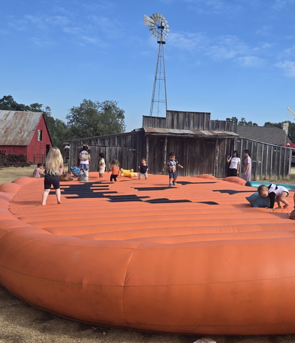 The Round Rock Pumpkin Festival will remain open until Nov. 1. (Courtesy Round Rock Pumpkin Festival)