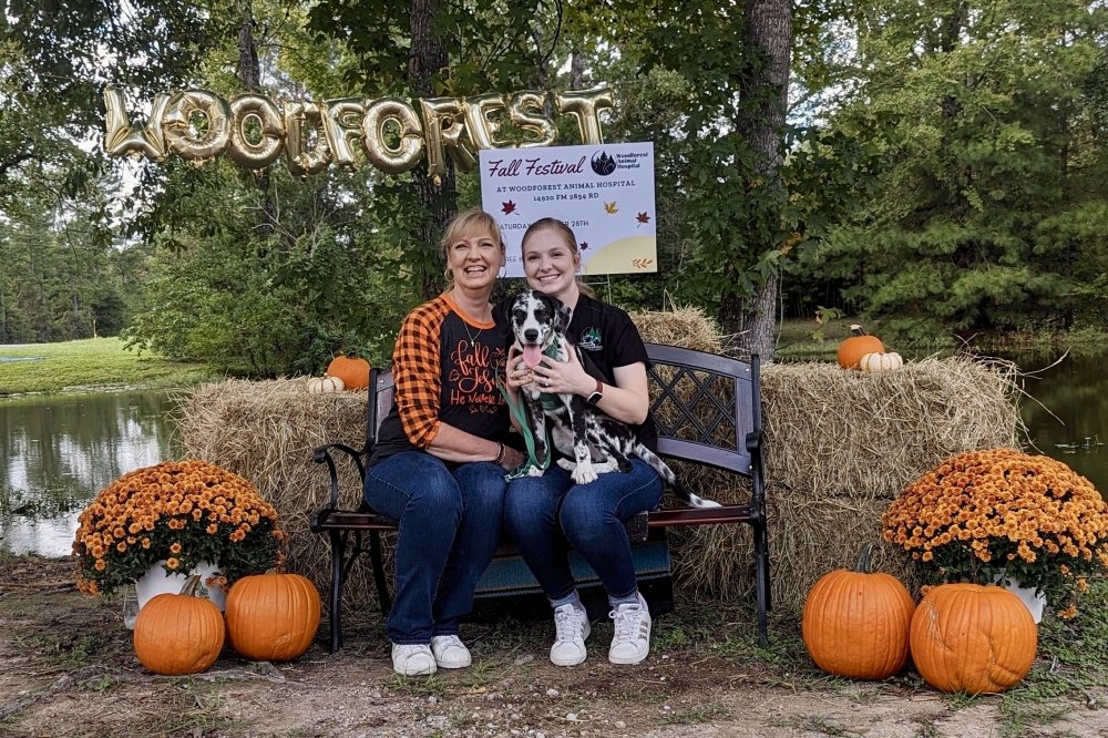 The Woodforest Animal Hospital Annual fall Fest is taking place Nov. 8. (Courtesy Woodforest Animal Hospital)
