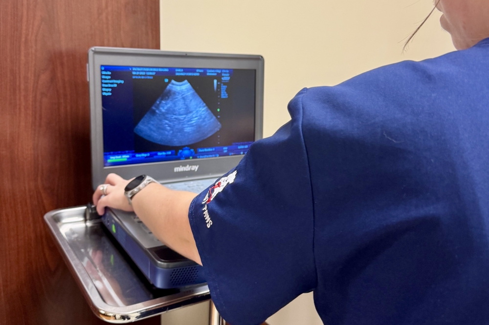 Patriot Paws opened in May. (Courtesy Patriot Paws)