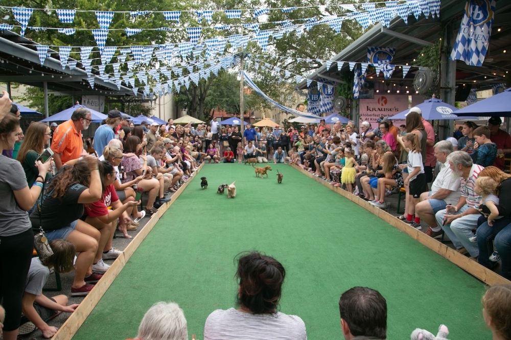 Catch the finals of the exciting Dachshund races at Krause's on Dec. 7. (Courtesy Krause's Cafe)