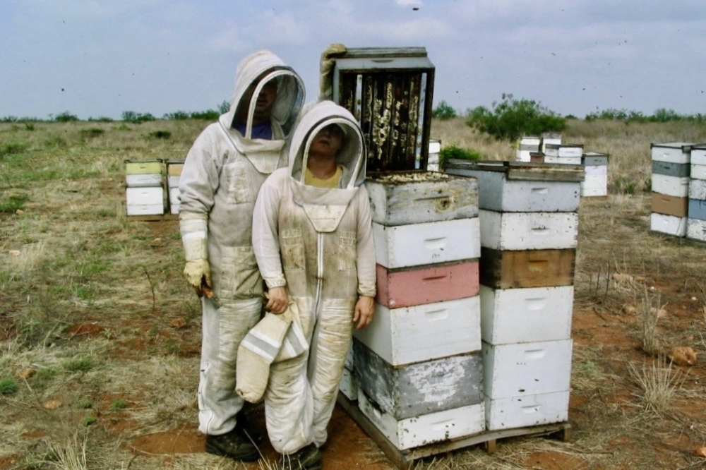 Wild Honey Box is a family operated business. (Courtesy Wild Honey Box)