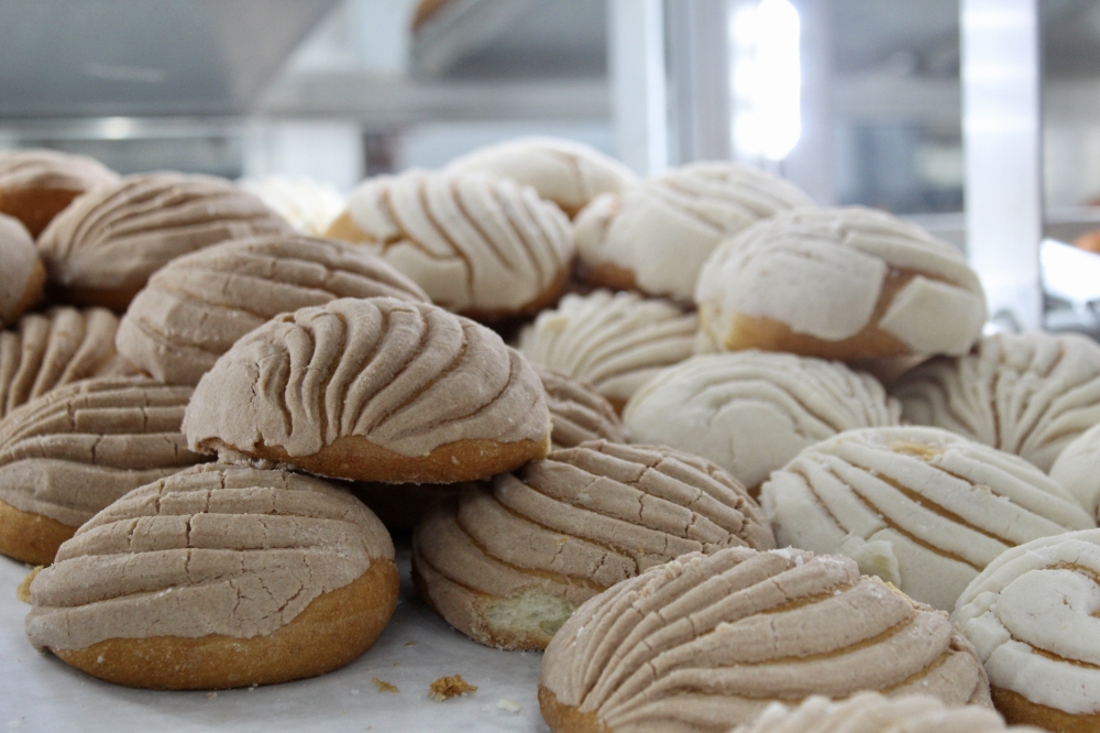 The conchas at Conchas Cafe Bakery are a customer favorite and can be special ordered. (Jovanna Aguilar/Community Impact)