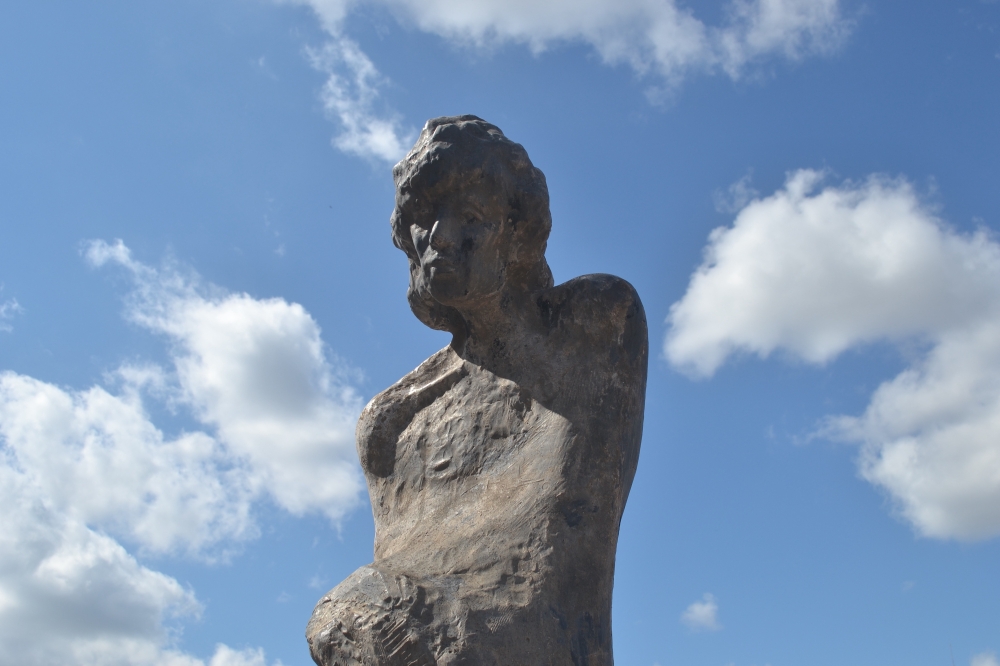 Night Guardian by Rita Sutcliffe (Steve Guntli/Community Impact)