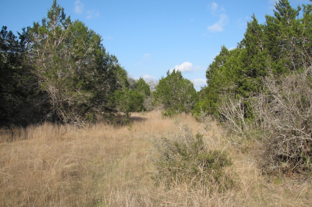 Rathgeber Natural Resource Park and Arrowhead Ranch Park will both have educational nature programming. (Courtesy city of Dripping Springs)