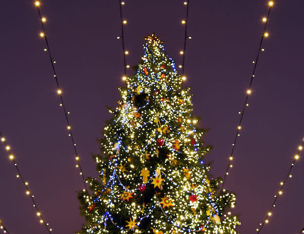 Here S How To Recycle Christmas Trees In The Lake Travis Area Community Impact