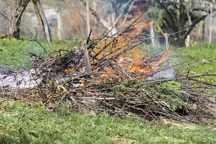 JUST IN Williamson County issues burn ban Community Impact