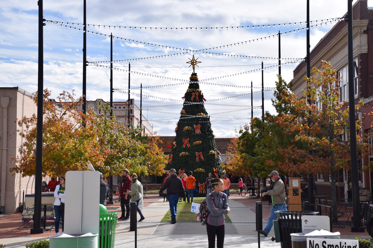 7 things to do in November and early December in Lewisville, Flower