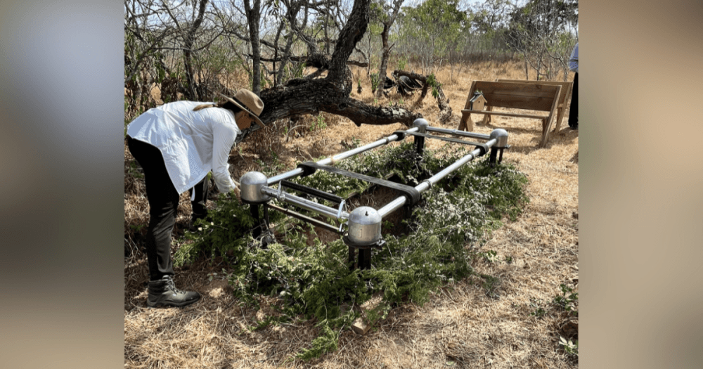 How Campo de Estrellas is turning natural burials into a way to restore Texas prairie land