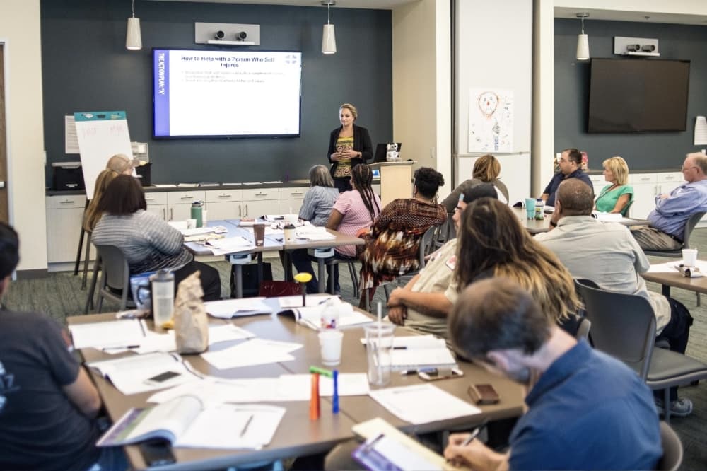 Free training helps Travis County adults spot struggling kids